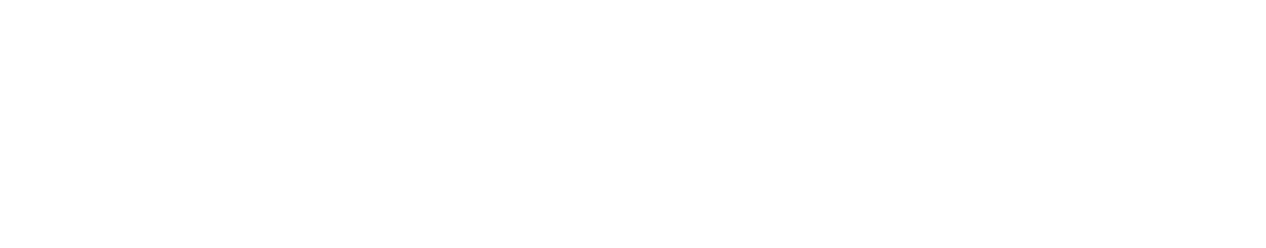 Danny Martin logo